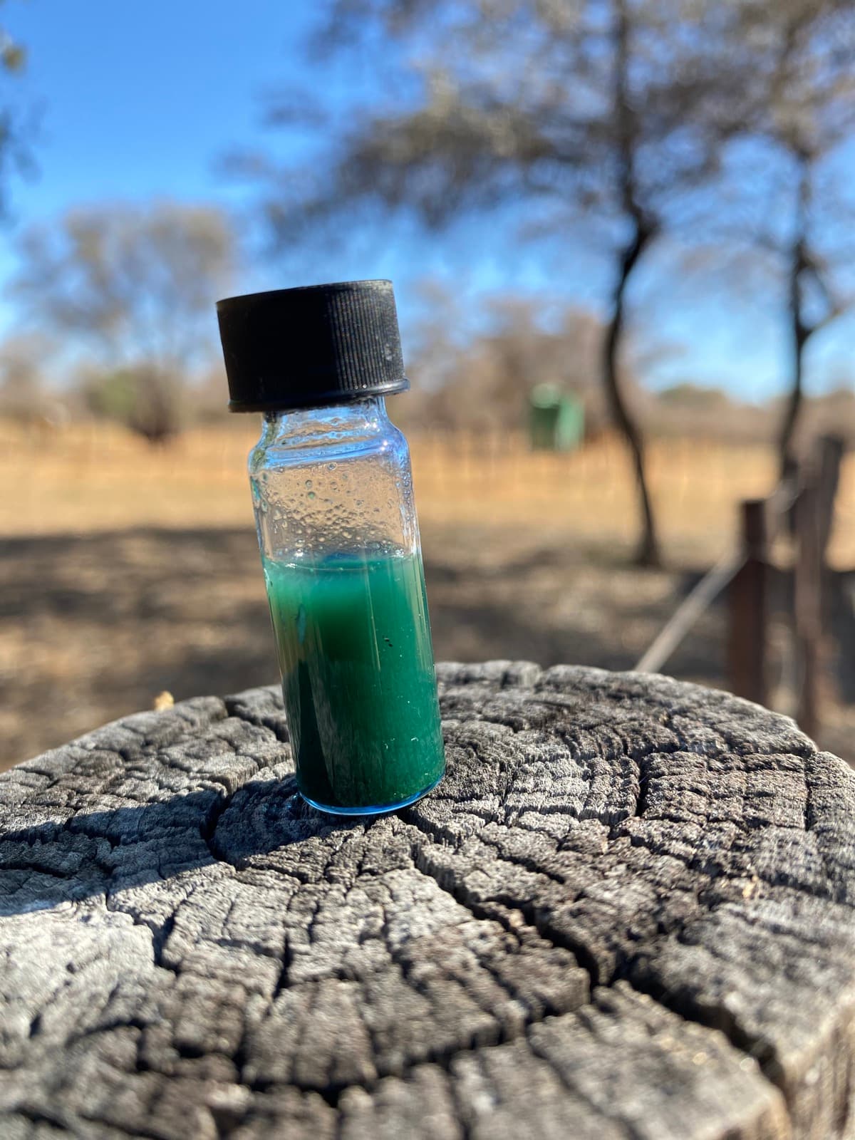 Water sample testing in nature